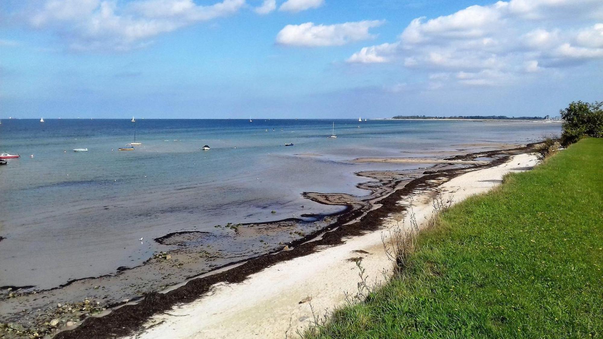 Ferienwohnung-Ostseestrand-In-Stein-Bei-Laboe Stein  Exteriör bild